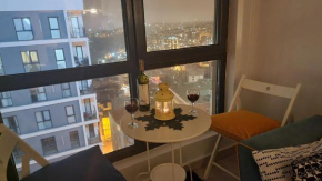 Apartment with Great City View